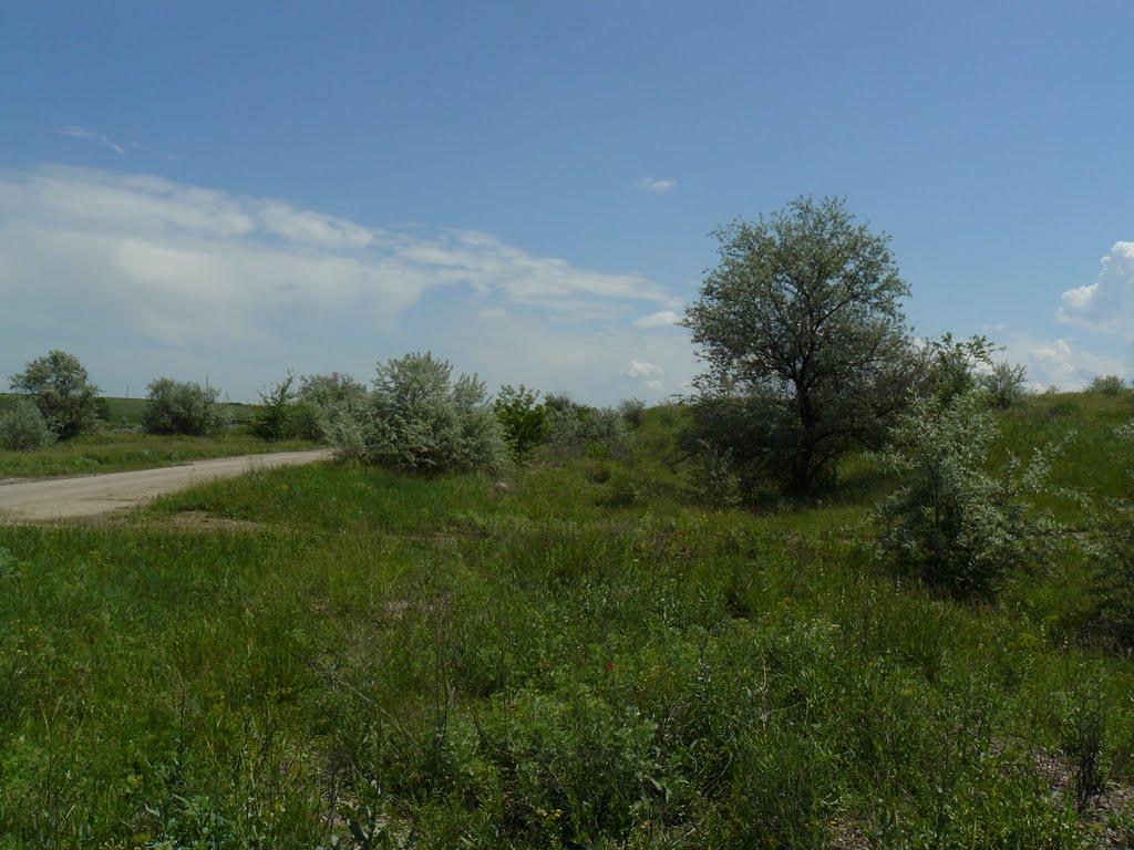 Степногірськ з panoramio.com - Stepnogirsk