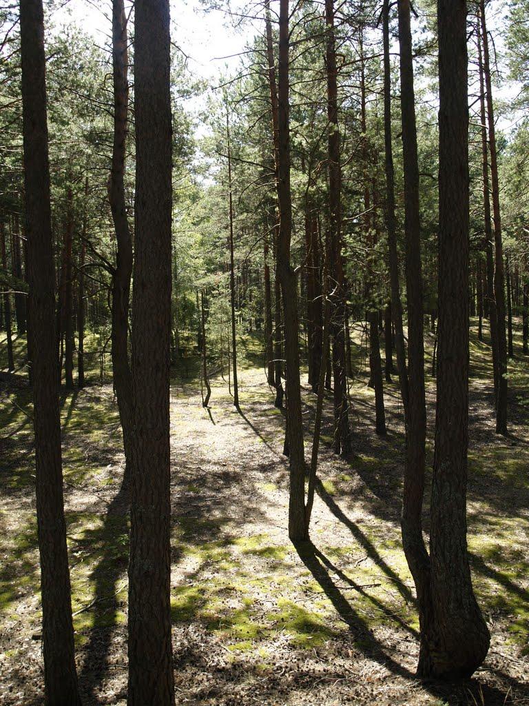 Чернігів з panoramio.com (ч.5) - Чернігів