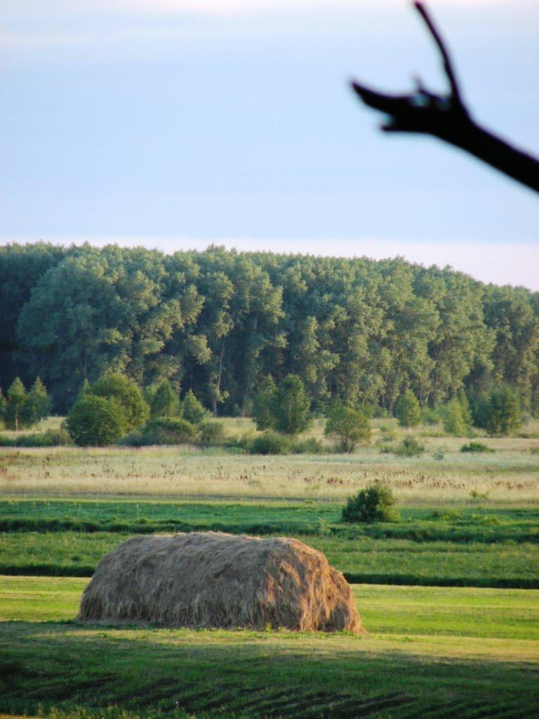 Шестовиця з panoramio.com - Шестовица