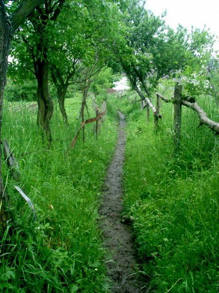 Підмихайля з panoramio.com - Подмихайло