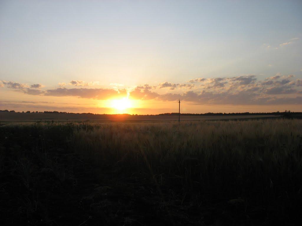 Шатівка з panoramio.com - Шатівка