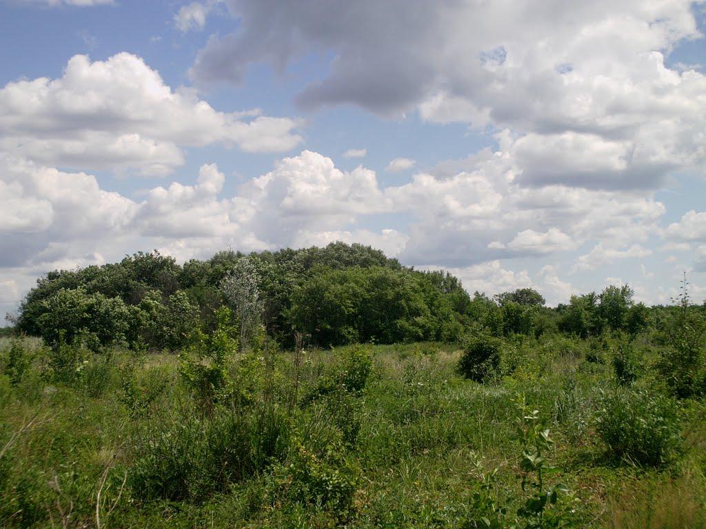 Станично-Луганське з panoramio.com (ч.2) - Станично-Луганское