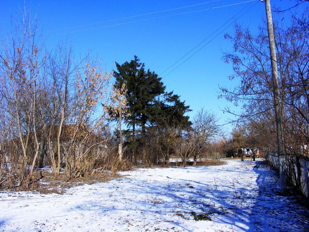 Охматів з panoramio.com - Охматів