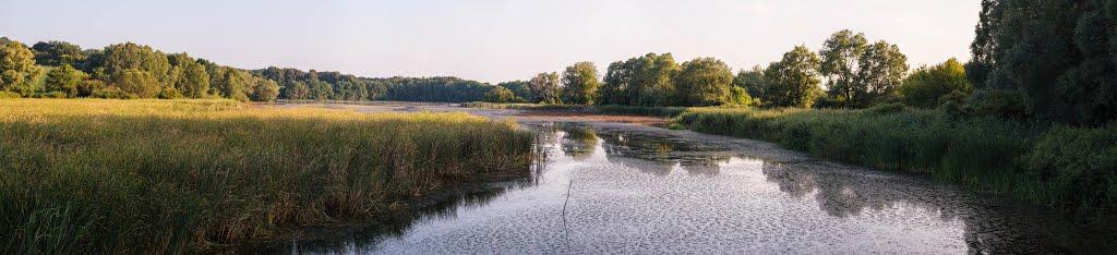 Кокозівка з panoramio.com - Кокозовка