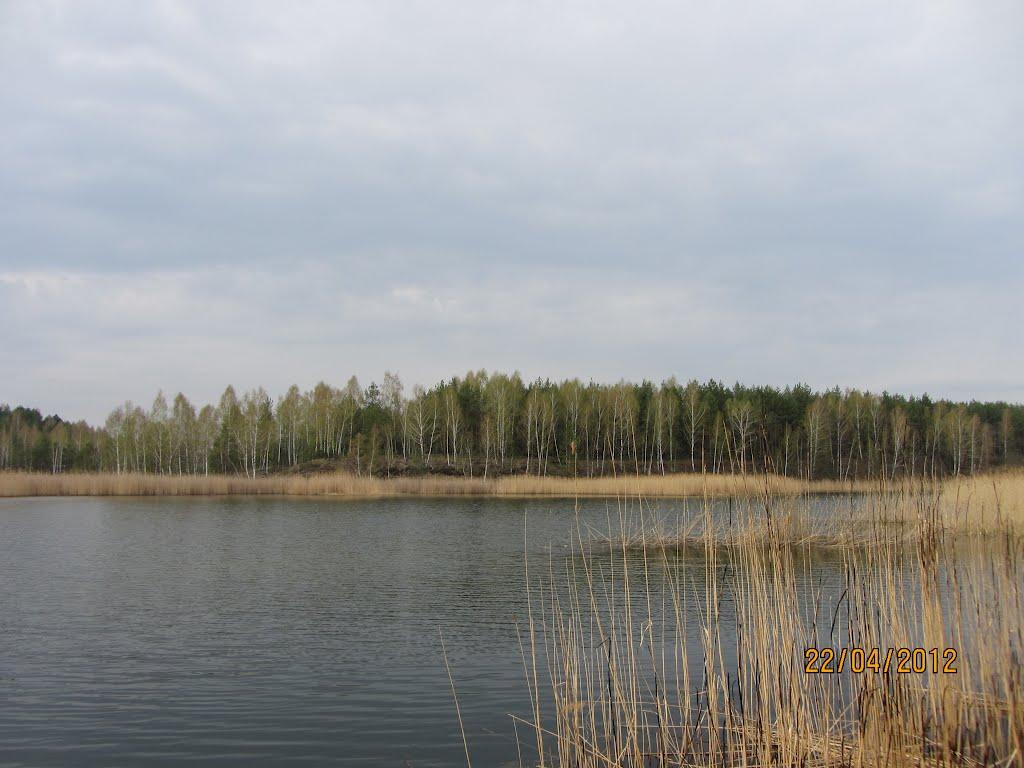 Волосківці з panoramio.com - Волосківці