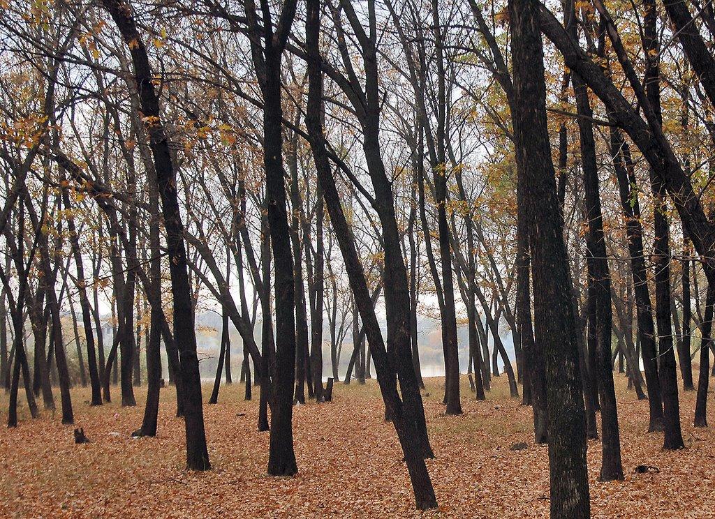 Кремінець з panoramio.com - Кременец