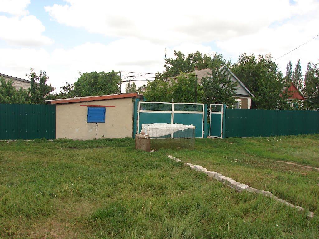 Рози Люксенбург з panoramio.com - Нове Шахове