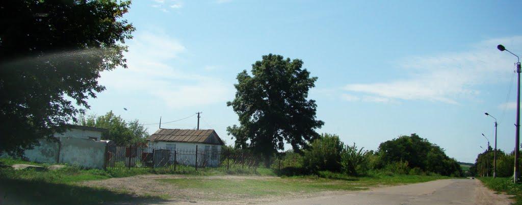 Кам'янка з panoramio.com - Каменка