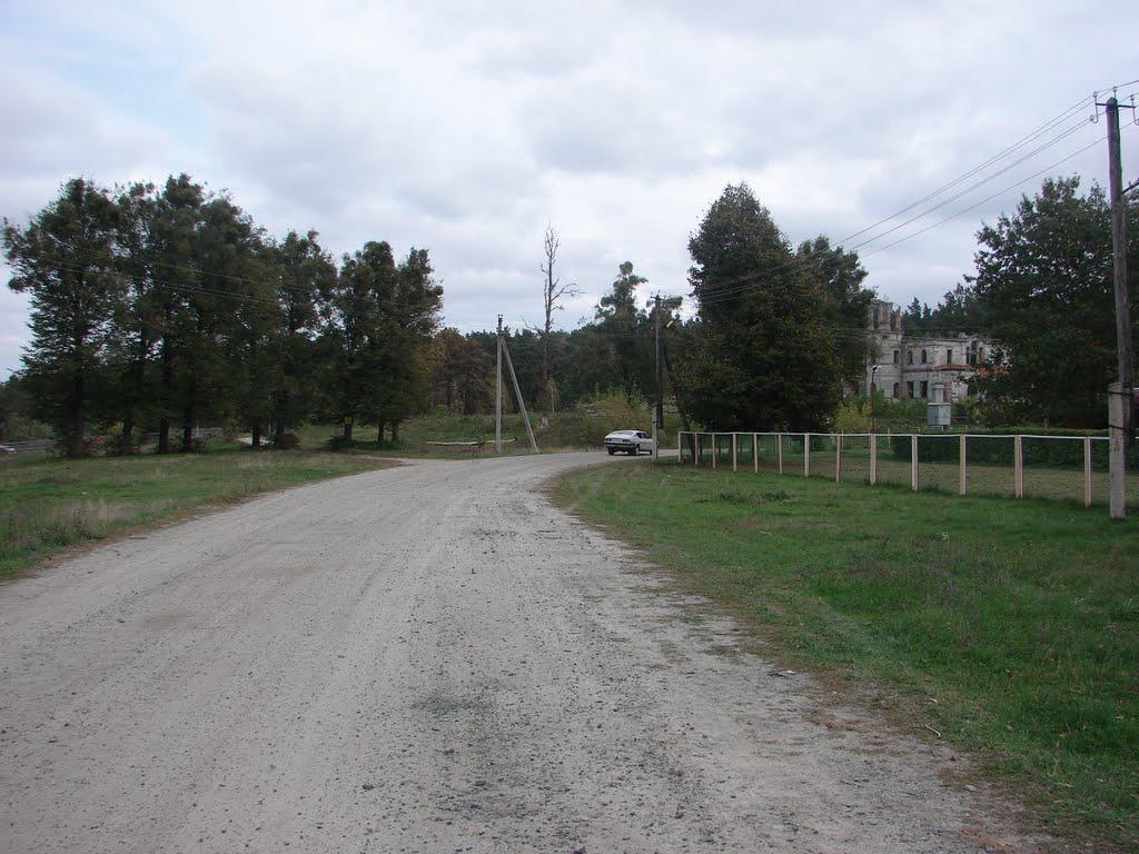 Дениші з panoramio.com - Дениші