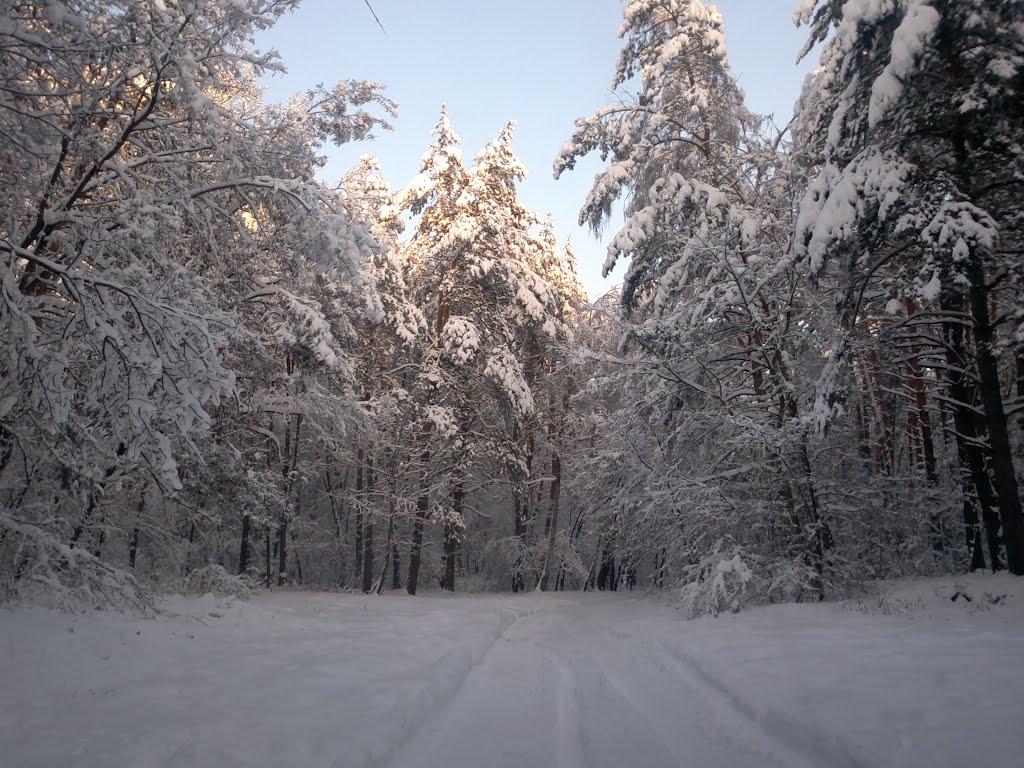 Хотів з panoramio.com - Хотов