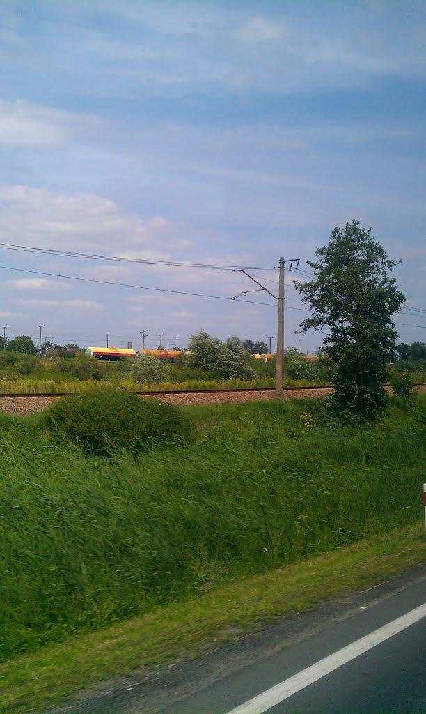 Биків з panoramio.com - Быков