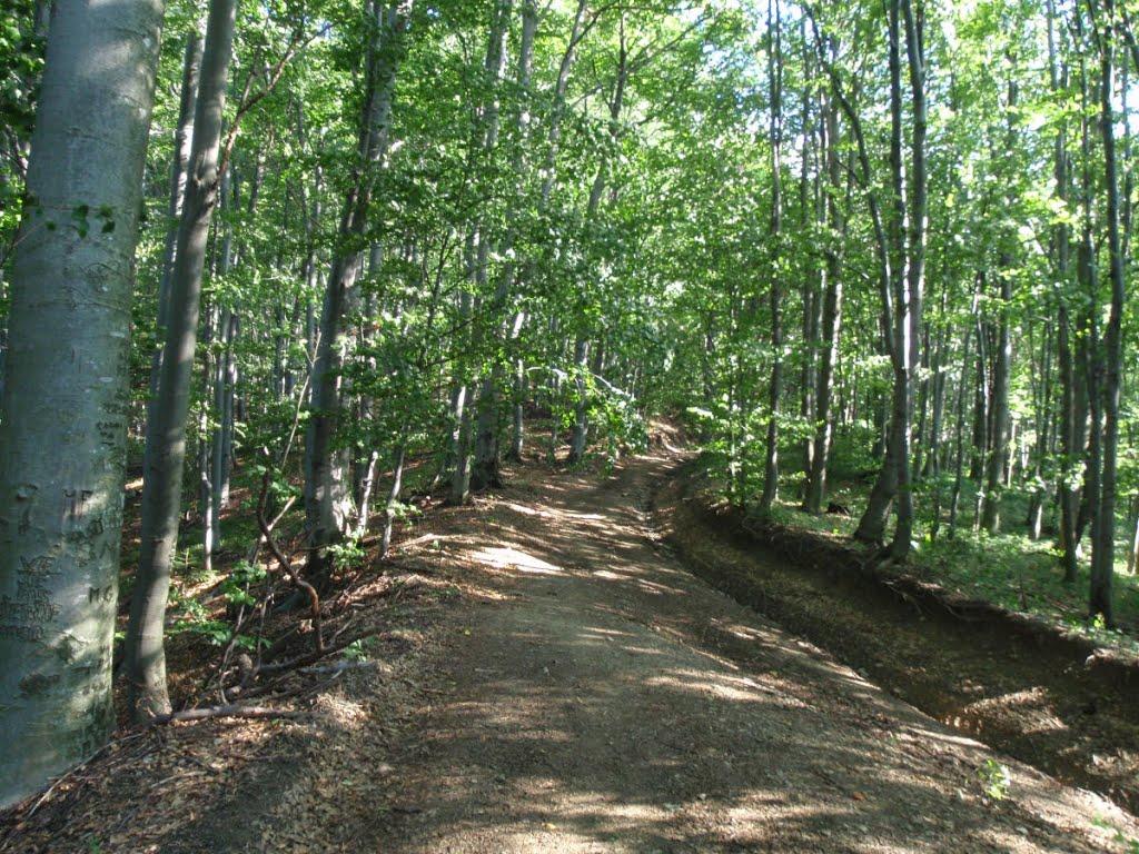 Домашин з panoramio.com - Домашин