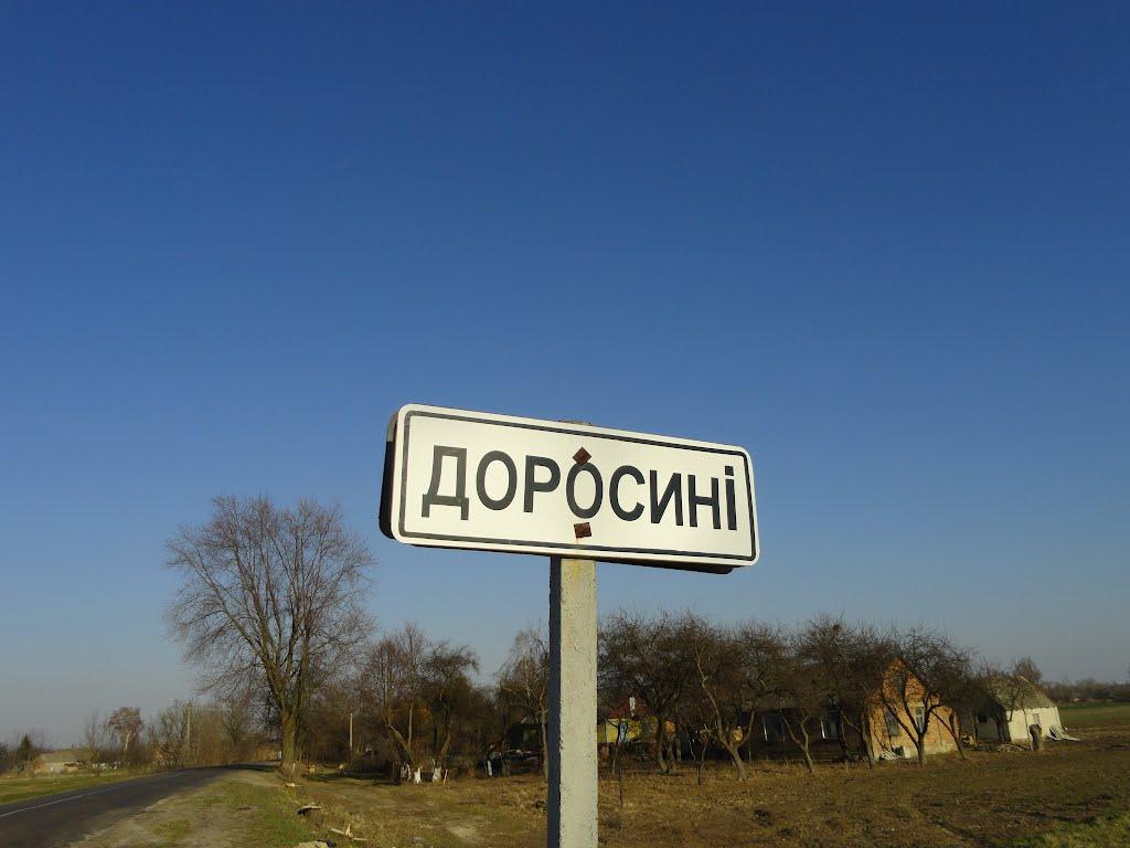 Доросині з panoramio.com - Доросині