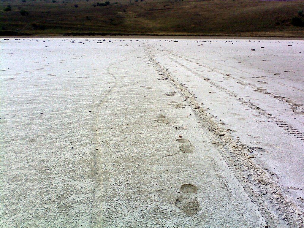 Багерове з panoramio.com - Багерове