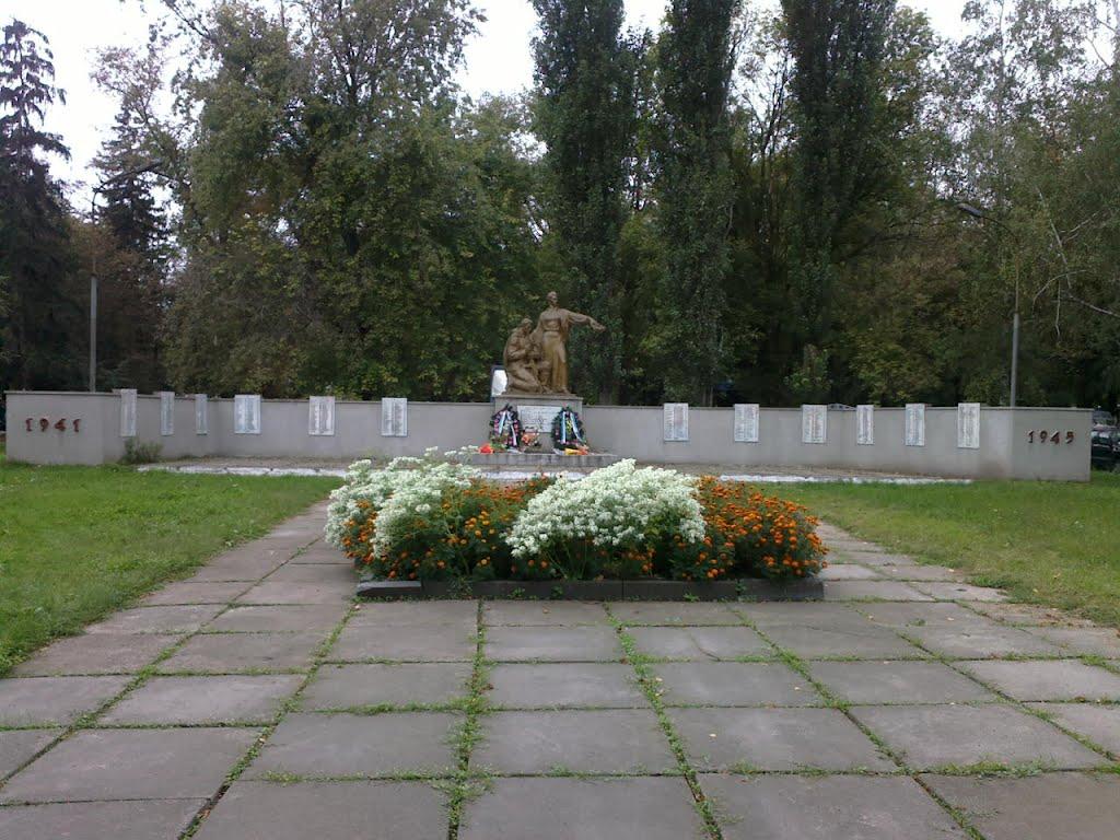 Вороньків з panoramio.com - Воронков