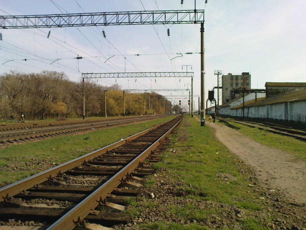 Петрівка з panoramio.com - Петровка