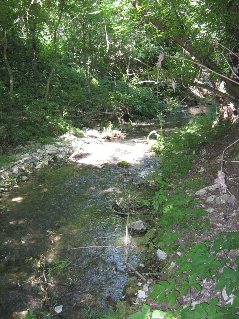 Лисець з panoramio.com - Лысец