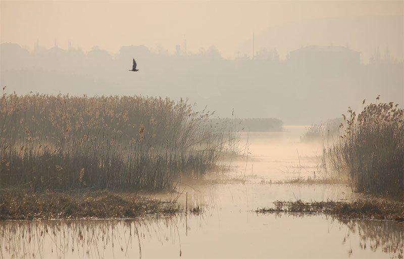 Бережани з panoramio.com - Бережаны