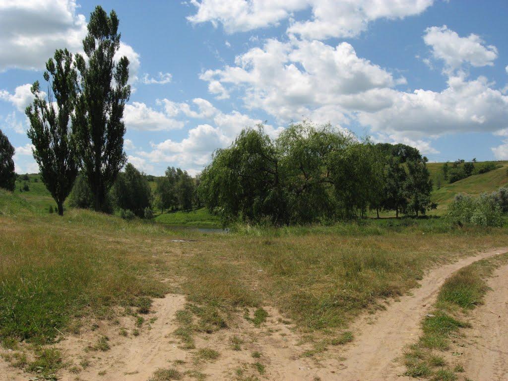 Вільшани з panoramio.com - Ольшаны