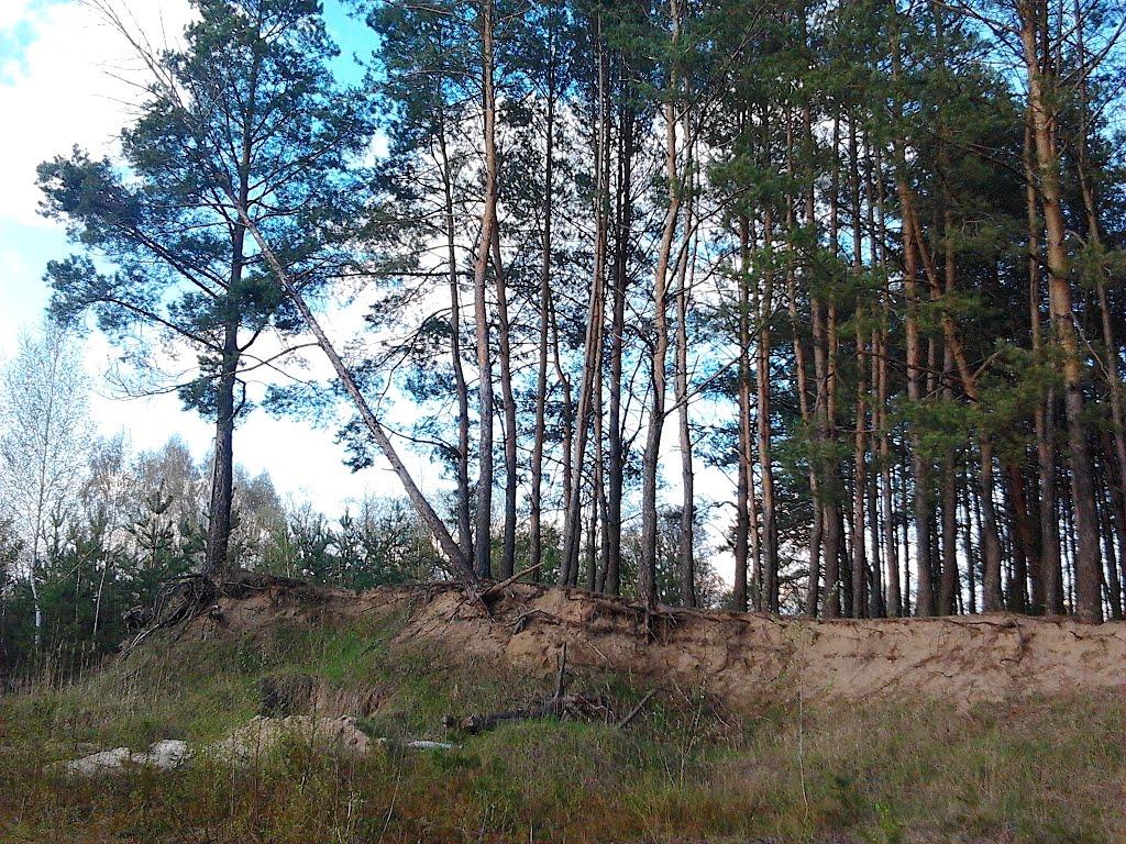 Слоут з panoramio.com - Слоут