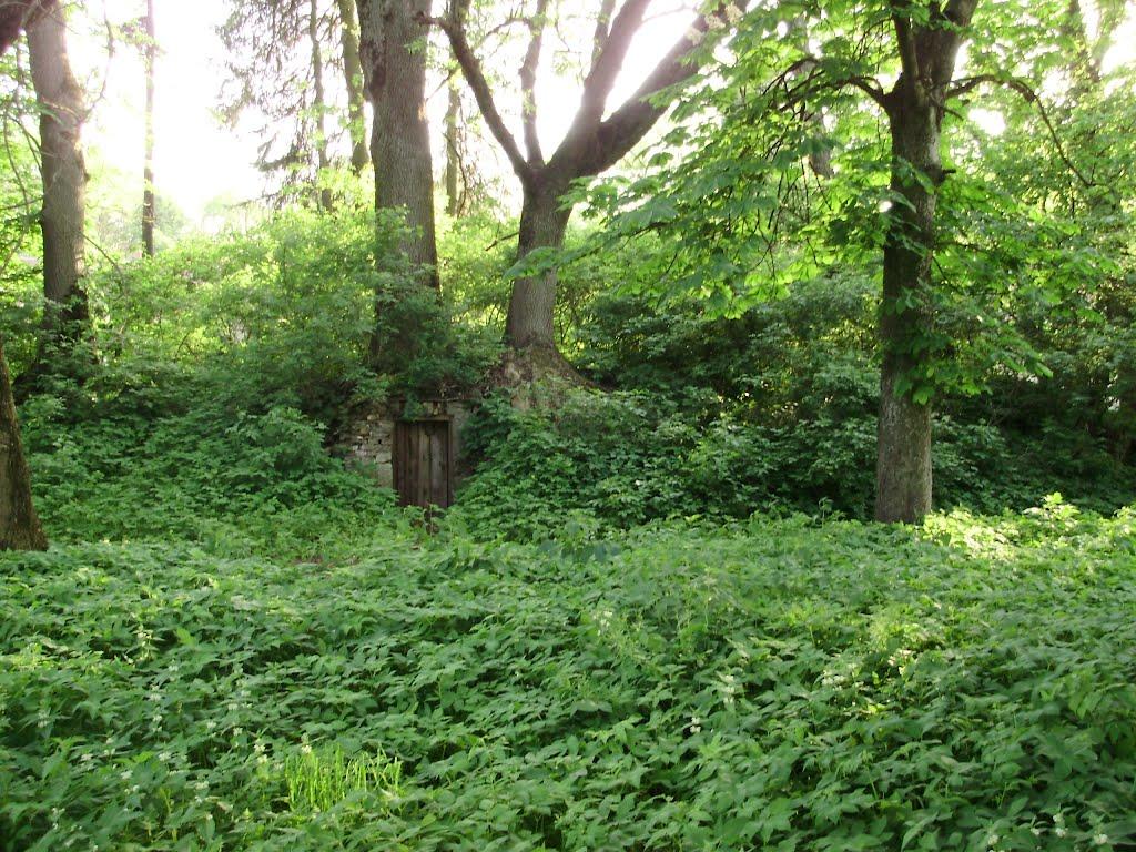 Черниця з panoramio.com - Черниця