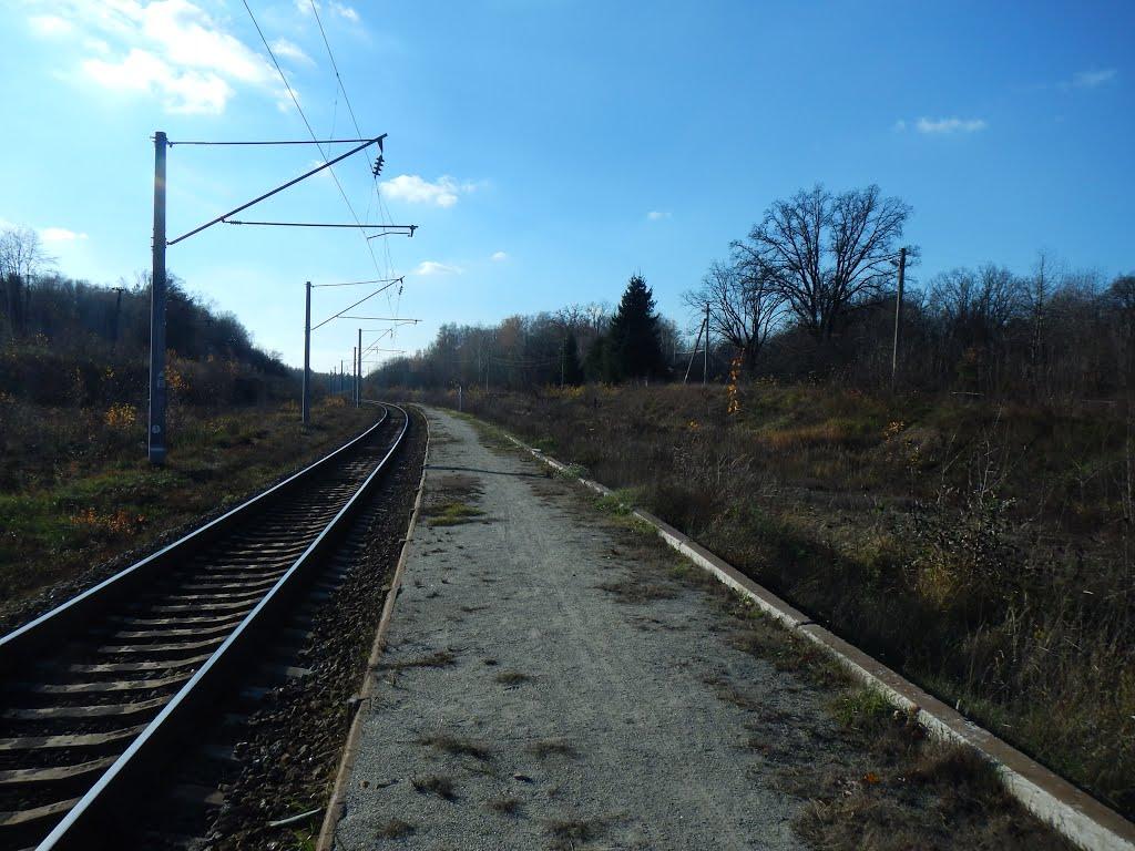 Волиця з panoramio.com - Волица