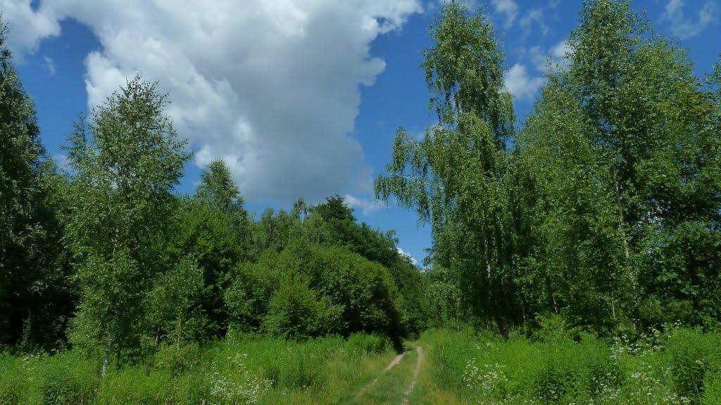 Чернігів з panoramio.com (ч.5) - Чернігів