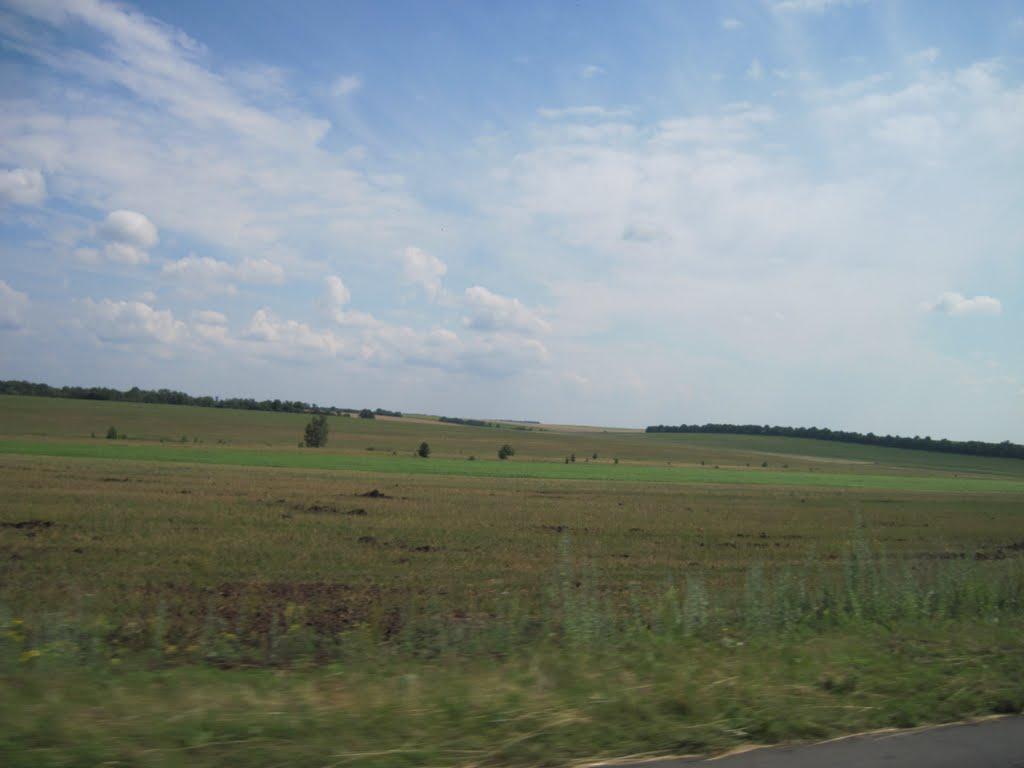 Мірошники з panoramio.com - Мірошники