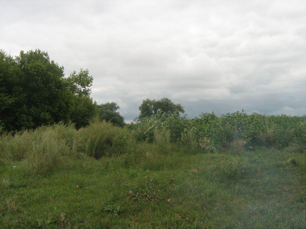 Просяна з panoramio.com - Просяна