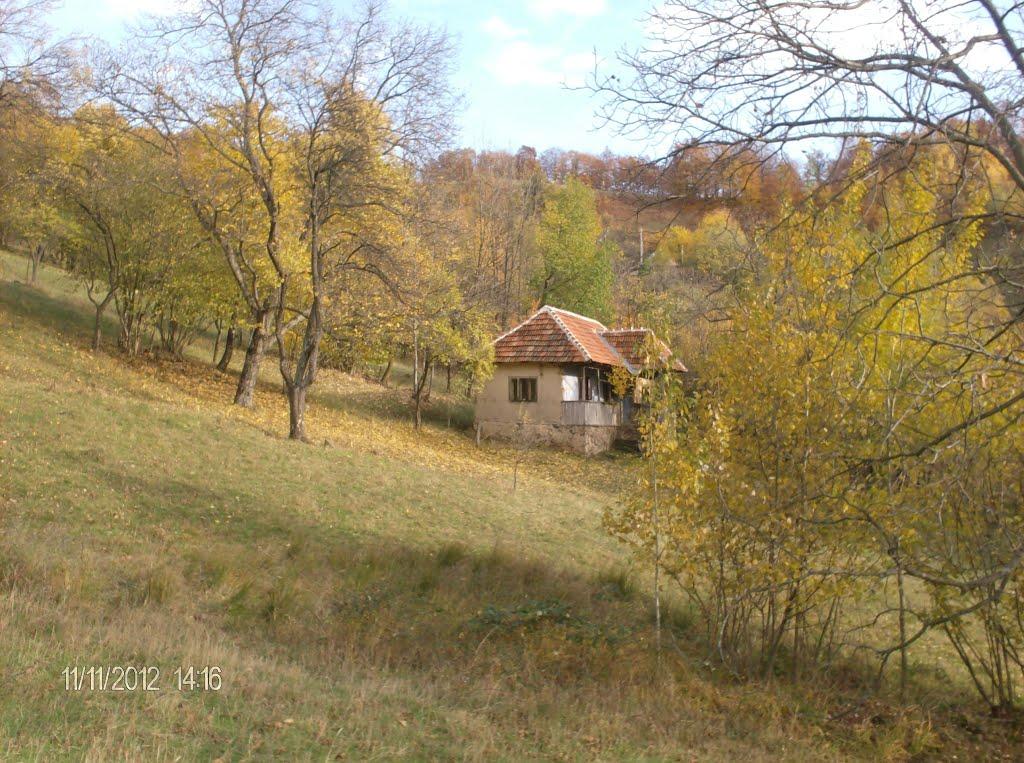 Хижа з panoramio.com - Khyzha