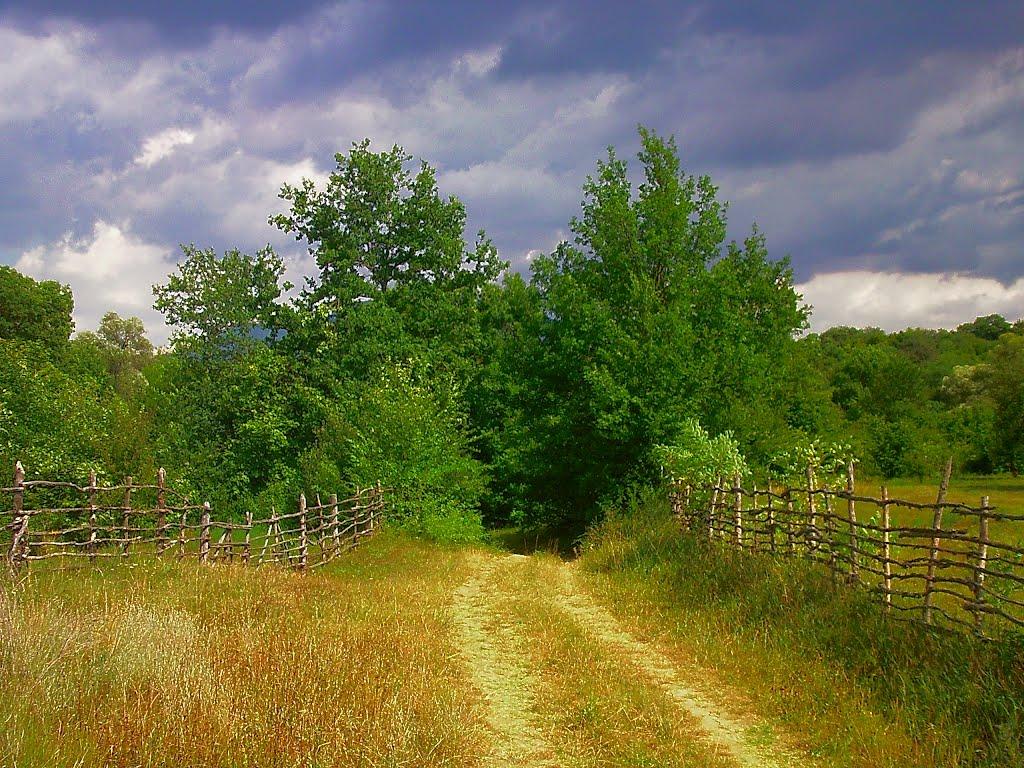 Новопілля з panoramio.com - Новополье