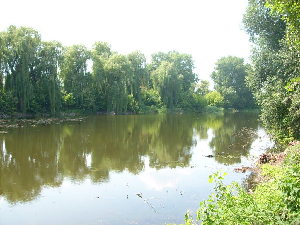 Старе з panoramio.com - Старе