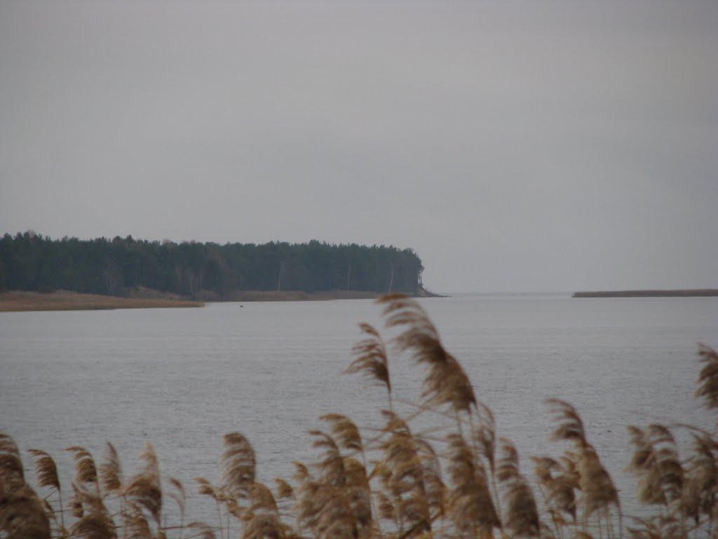 Лошакова Гута з panoramio.com - Лошакова Гута