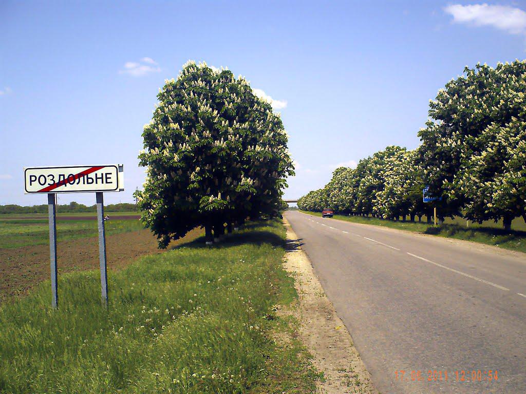 Роздольне з panoramio.com - Раздольное