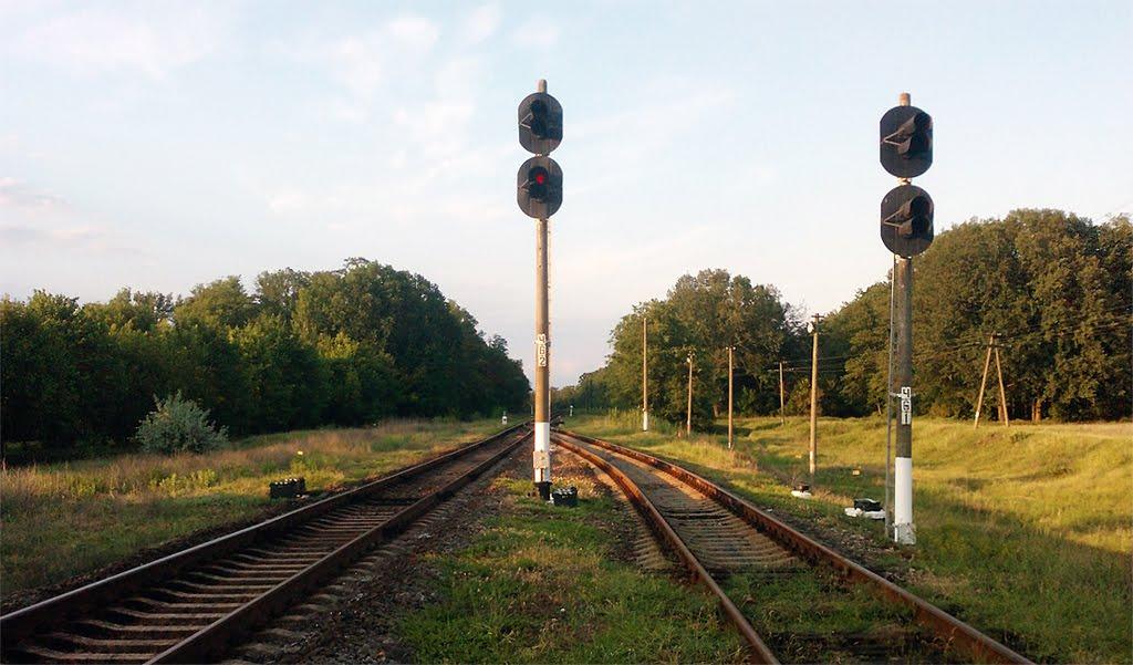 Жовтневе з panoramio.com - Жовтневе