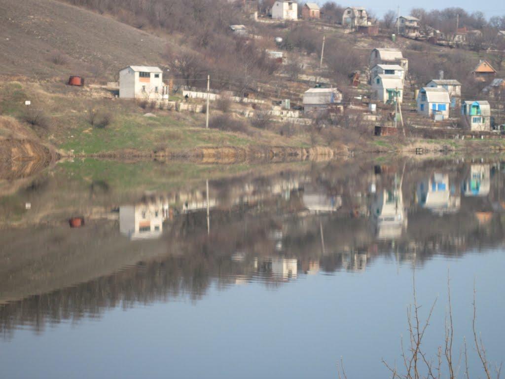 Василівська Пустош з panoramio.com - Василівська Пустош