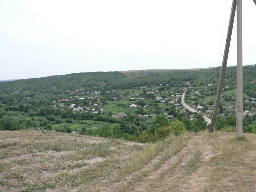 Галайківці з panoramio.com - Галайківці