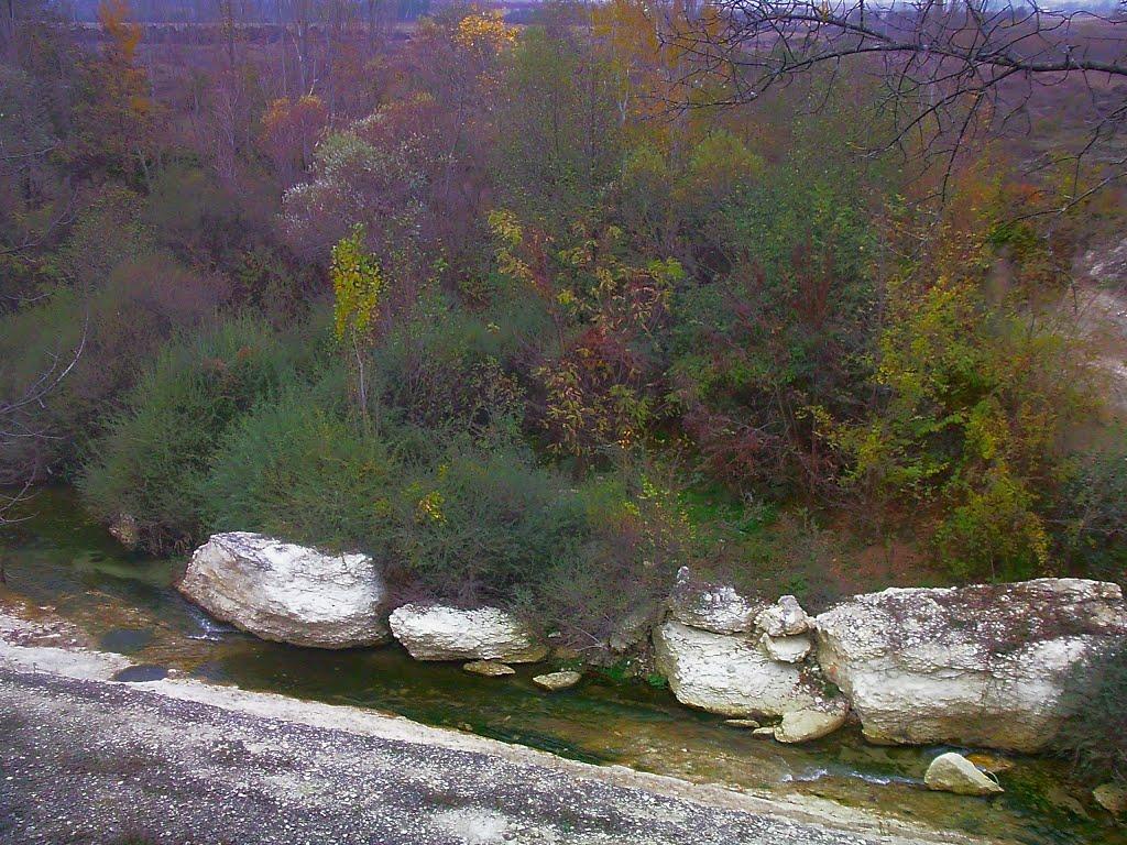 Красний Мак з panoramio.com - Красный Мак