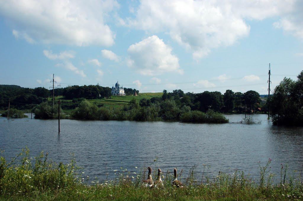 Буковина з panoramio.com - Буковина