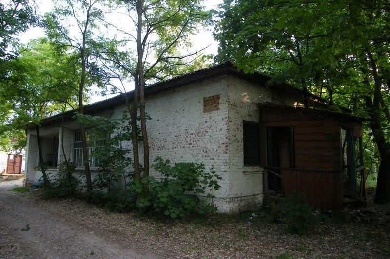 Редьківка з panoramio.com - Редьківка