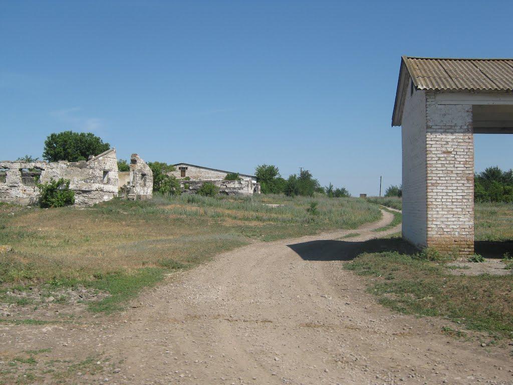 Нововітебське з panoramio.com - Нововитебское