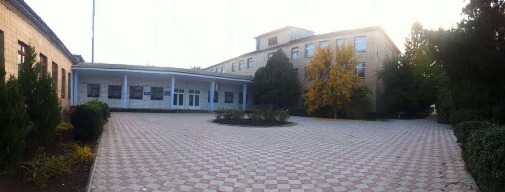 Виноградівка з panoramio.com - Виноградівка