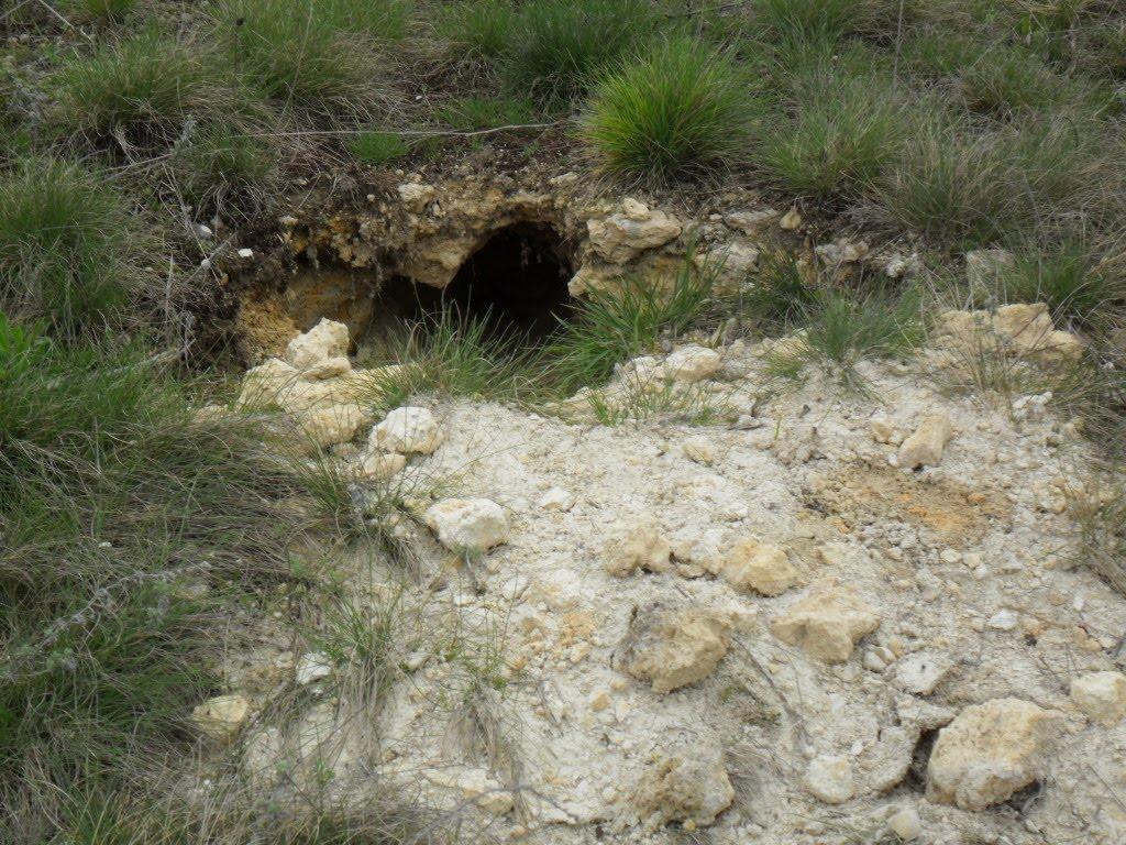 Чумак з panoramio.com - Чумак