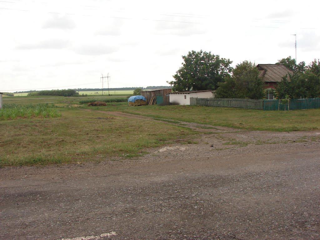 Рози Люксенбург з panoramio.com - Новое Шахово