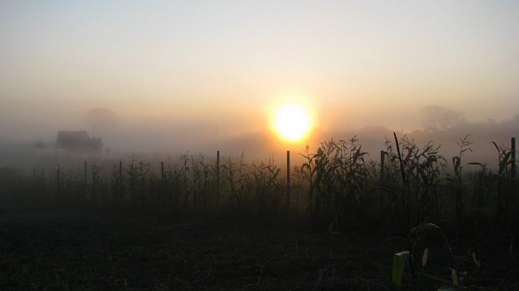 Вороньків з panoramio.com - Воронков