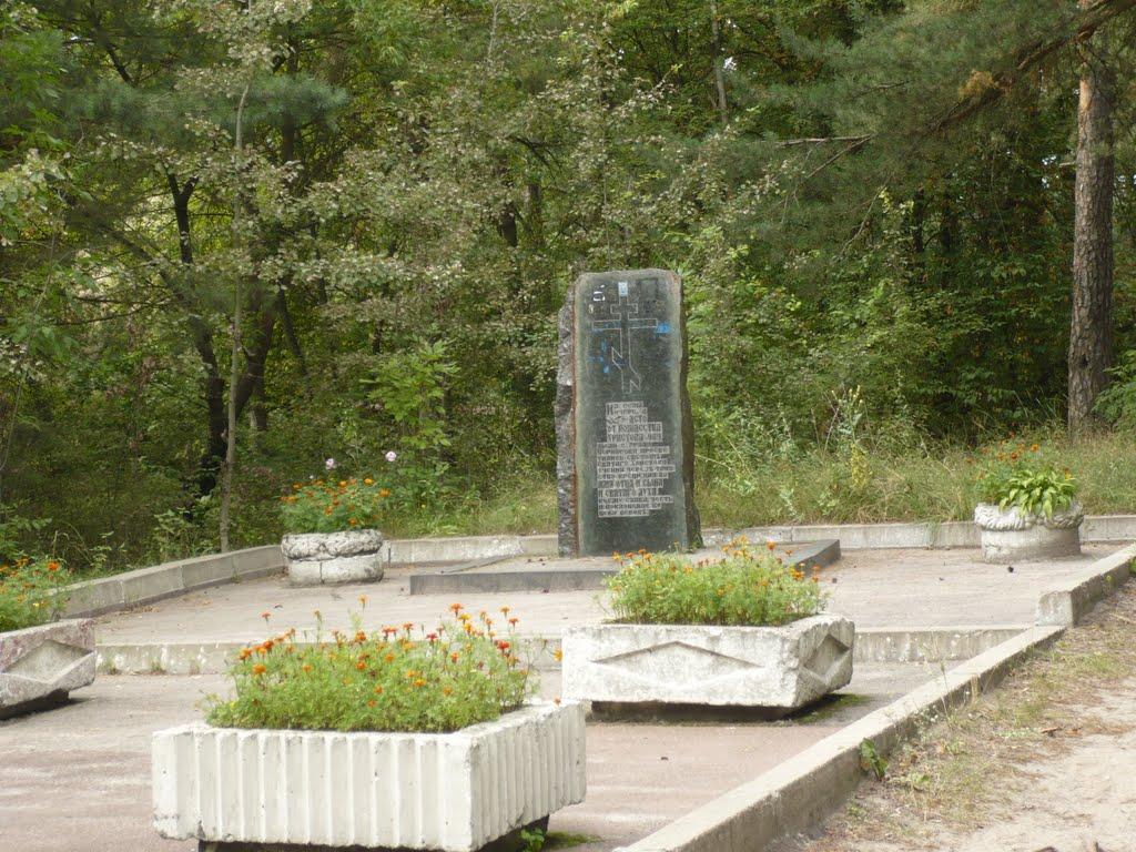 Чернігів з panoramio.com (ч.5) - Чернігів