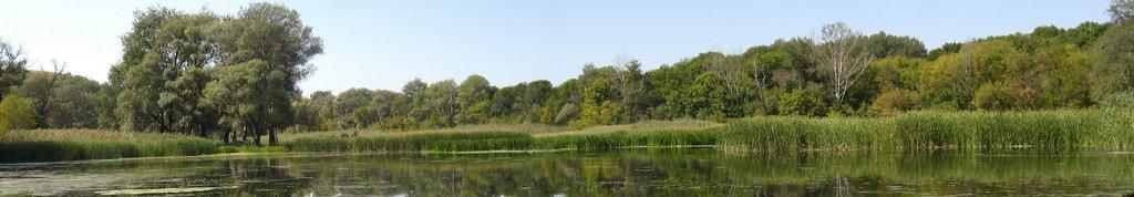 Донецьке з panoramio.com - Донецкое