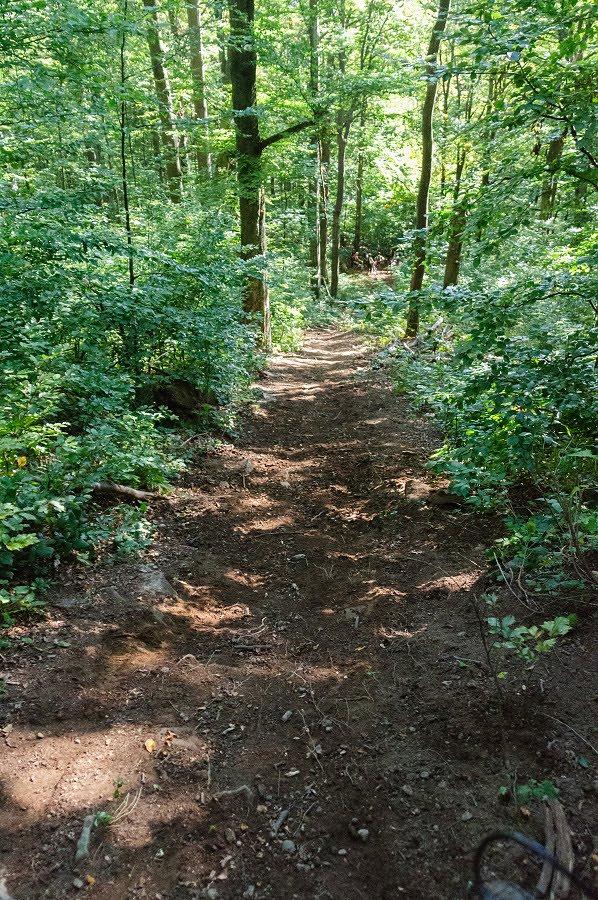 Щербовець з panoramio.com - Щербовец