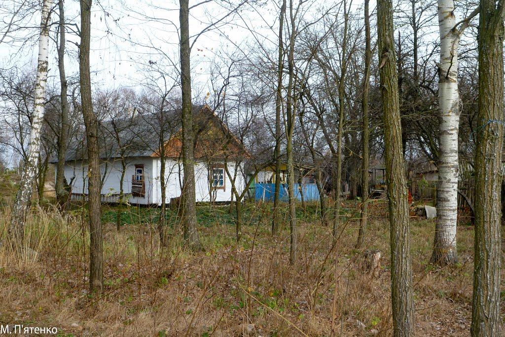 Бабка з panoramio.com - Бабка