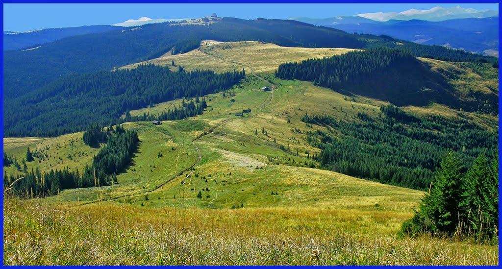 Сарата з panoramio.com - Сарата